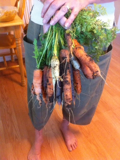 Carrots bouncing back from winter